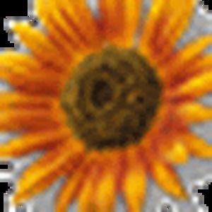 Meet your Posher, Carol